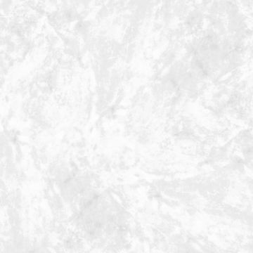 HSK Renodeco Muster Wandverkleidung Seidenmatt, Marmor, Weiß-Grau